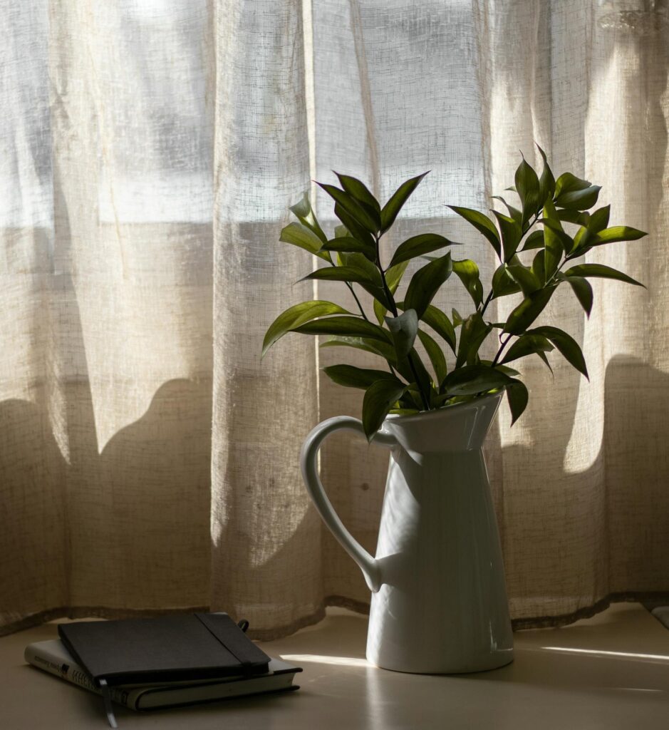 Calm therapy space with natural light — Lumara Integrative Health. Online therapy in Illinois.